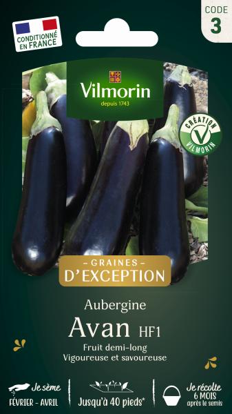 Potagères - Aubergine Avan HF1 - Graines d'Exception - PACKAGING_RECTO